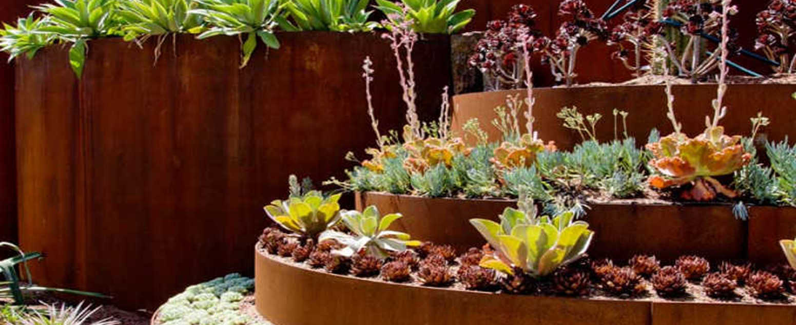 close up succulent rbg wall