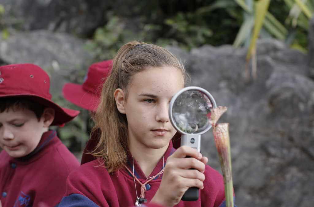 plant observation close up 1024x676