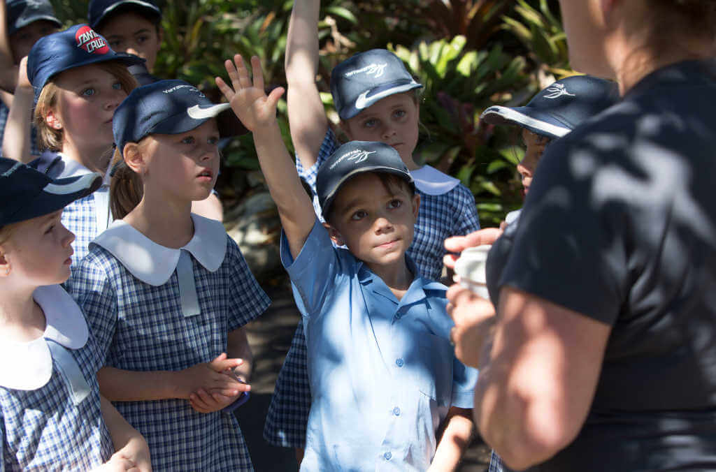 School tour close up 1024x676
