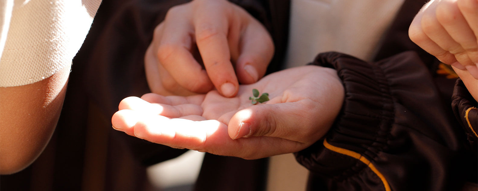 Child holding seed whilst on school excursion
