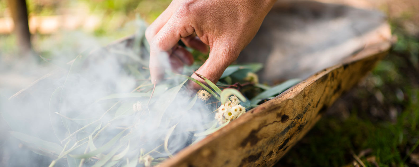 Smoke during an Aboriginal Heritage Tour at the Garden