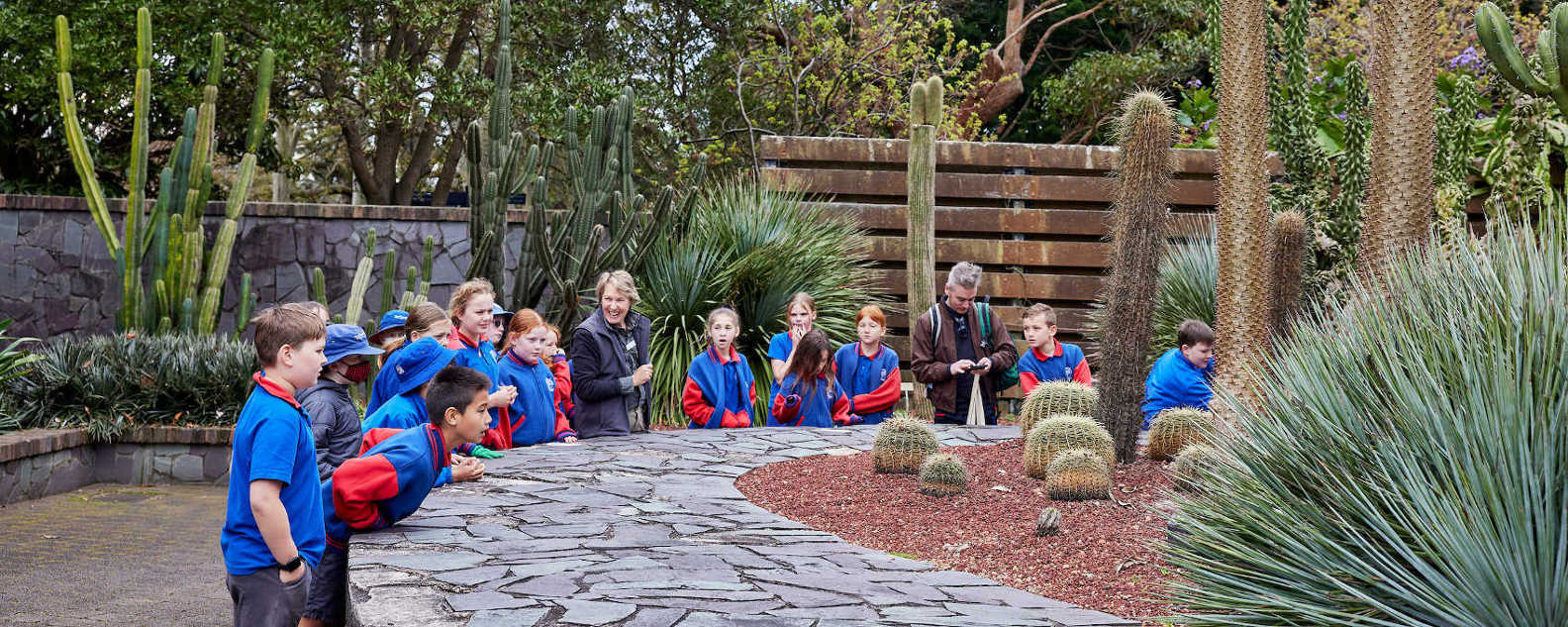 primary program hero 