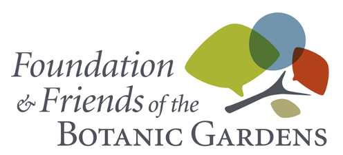 foundation and friends logo