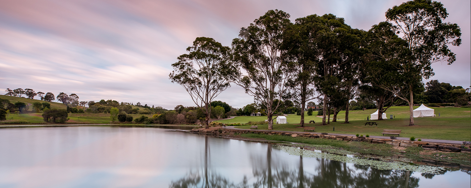 Lake and bushland with pink sunset sky