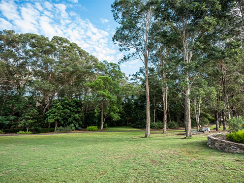 Buffalo Lawn surrounded by trees and picnic tables in the distance