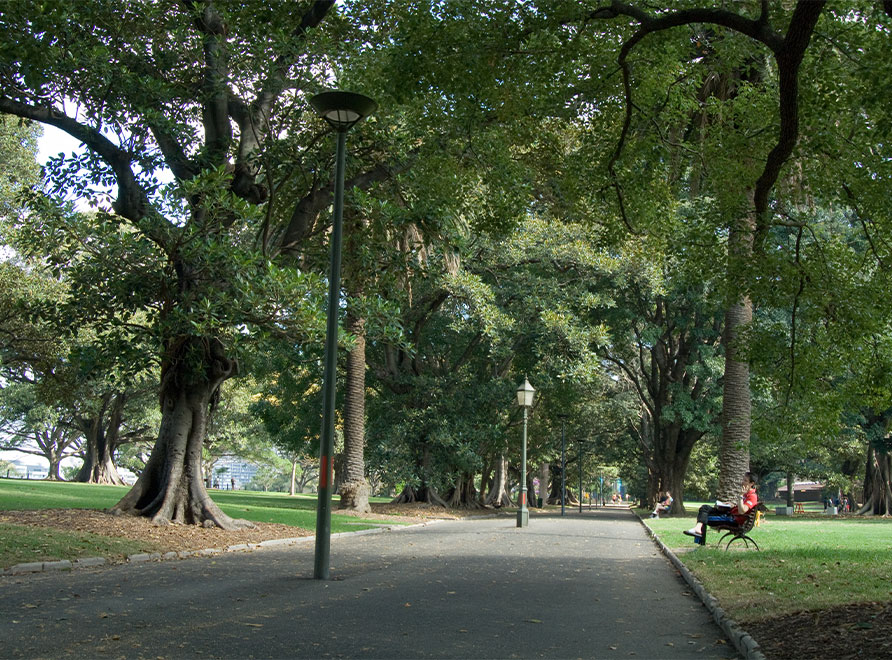 Pathway leads through The Domain