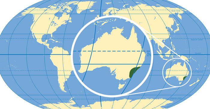 Map of Macrozamia Communis' (Burrawang) habitat