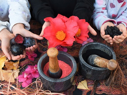 bowls of natural dyes, flowers and fruits