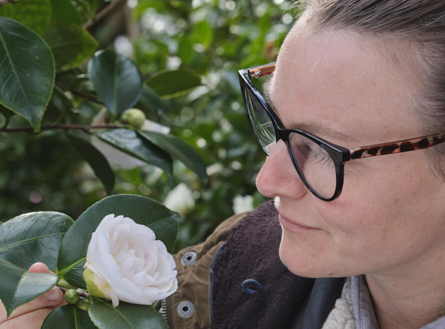 living collection flower close up 