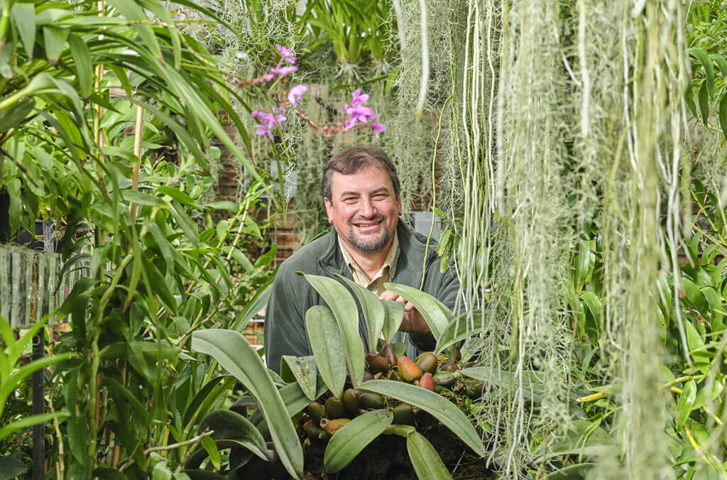 living collection close up 