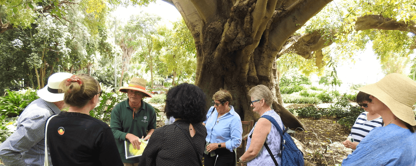 Fig walk hero banner