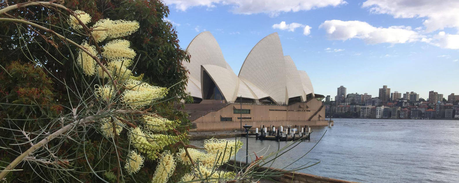 must see october hero banner 