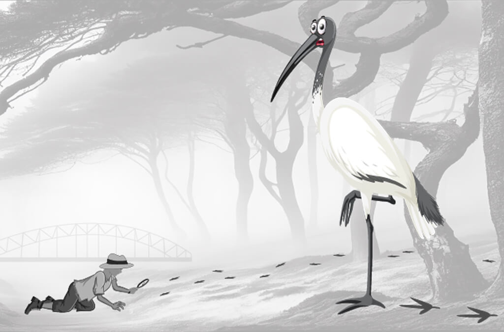 Ibis, child looking at bird footprints