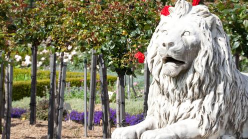 A lion statue guards the Shelter Pavilion in the Palace Rose Garden