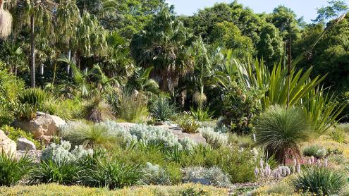 View of the Connections Garden