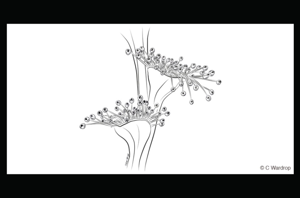 glittering lure close up