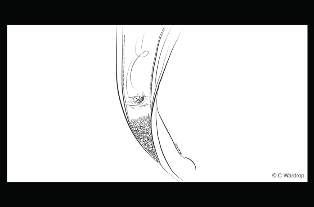 leisurely feast close up