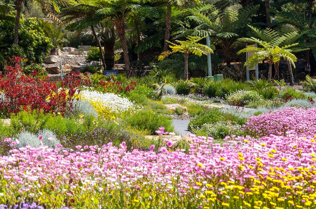 seas of colourful flowers and lush rainforest garden